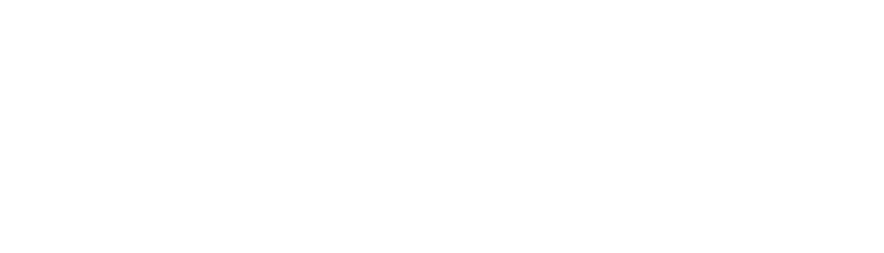 PERFIL